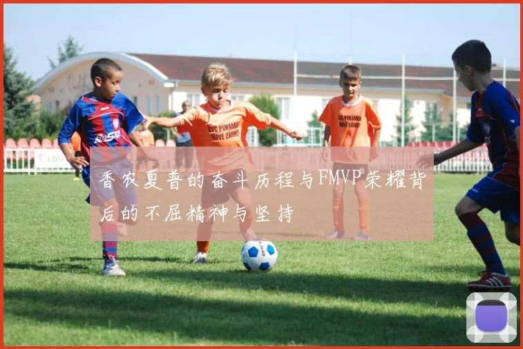 香农夏普的奋斗历程与FMVP荣耀背后的不屈精神与坚持