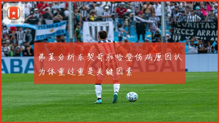 弗莱分析东契奇和哈登伤病原因认为体重过重是关键因素