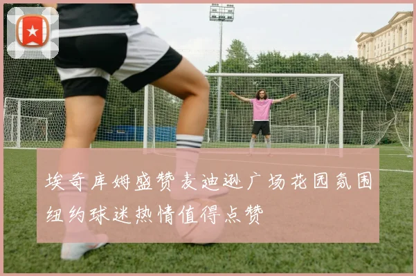 埃奇库姆盛赞麦迪逊广场花园氛围纽约球迷热情值得点赞