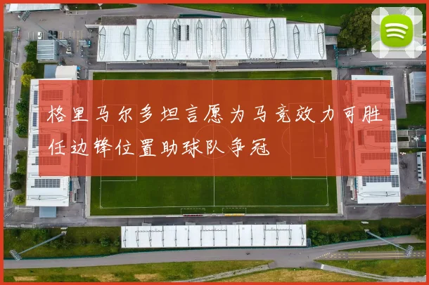 格里马尔多坦言愿为马竞效力可胜任边锋位置助球队争冠